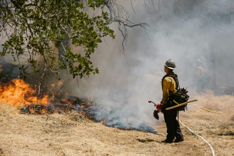 Firefighter in protective gear tackling a forest wildfire with smoke and flames in daylight. chennai weather