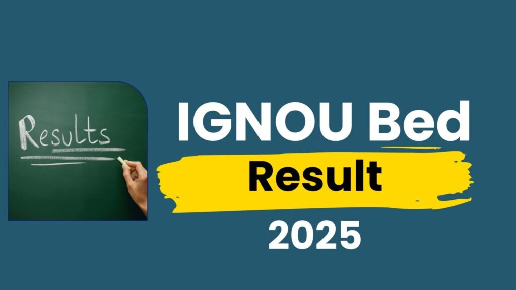 tn-set-2-1536x8644911419114563461438.jpg