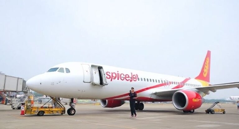 spicejet-paperless-boarding-process2686241069133879761.jpg